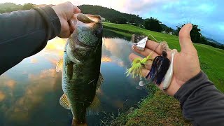 3 Señuelos LETALES para la PESCA de Lobinas 🎯 pesca señuelos pescadeportiva bassfishing lure [upl. by Notnirt]