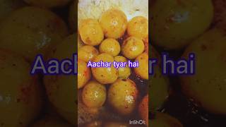 Amla ka Achar recipe healthyeating amla amlakaachar amlakefayde weightloss winterspecialsardi [upl. by Amled553]