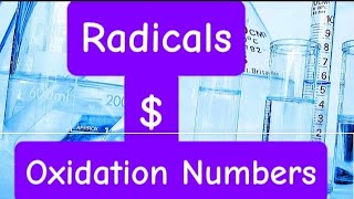 Radicals and Oxidation Numbers Explained [upl. by Manard]