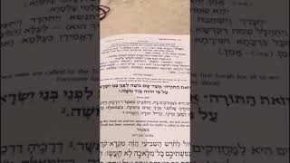 Chazan N Gluck  Chatzi Kaddish after leaning yomim noroim [upl. by Chip]