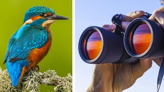 Top 5 Worlds Best Binoculars For Birdwatching 2021 [upl. by Mercer]