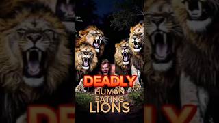 Deadly human eating lions in 1898  joe rogan uganda kenya lion facts wildlife human usa us [upl. by Itnaihc]