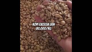 kopi murah berkwalitas excelsa coffee ijencrater [upl. by Tlevesoor]