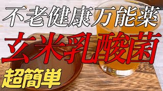 【玄米乳酸菌の作り方】毎日おちょこ1杯✨不老長寿の万能薬⁉発酵ドリンクで腸活🍹免疫力もUP！アンチエイジング 化粧水 皮膚疾患 自然療法 ✨ブラックソルト 黒糖 発酵 玄米 超簡単レシピ [upl. by Fielding]