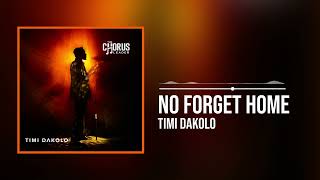 Timi Dakolo  No Forget Home Official Audio [upl. by Firooc750]