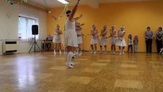 Swan Lake parody Labuti jezeroMOV [upl. by Harahs]