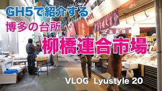 GH5で紹介する、博多の台所 柳橋連合市場 VLOG Lyustyle 20 [upl. by Adnerak]