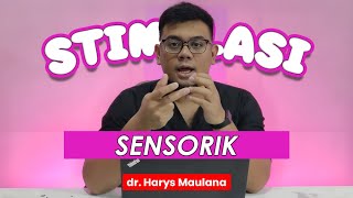 STIMULASI SENSORIK ANAK SEKARANG [upl. by Omar]