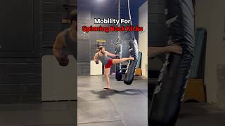 Mobility Exercises For Stronger Spinning Back Kicks mma kickboxing karate taekwondo [upl. by Barth]