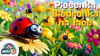 🎶 Biedronka na Łące 🐞  Wesoła Piosenka dla Dzieci  Nauka przez Zabawę 🌼 [upl. by Quartana]