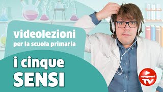 Videolezione i cinque sensi  Renato lo scienziato Renatoloscienziato [upl. by Dolora]