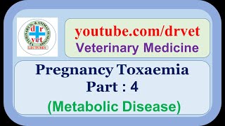 Pregnancy Toxaemia Part 4 [upl. by Casteel765]