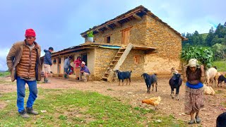 This is Himalayan Nepali village life  most peaceful And Relaxing village life  Nepali village [upl. by Danielle250]