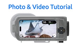 Oceanic Photo and Video Tutorial [upl. by Layap414]