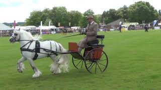 Herts County Show Exercise Class May 2024 [upl. by Straus]