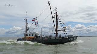 Garnalen kotter ZK20 LAUWERSZEE op het IJsselmeer richting staveren voor de staverse visserij dagen [upl. by Miki247]