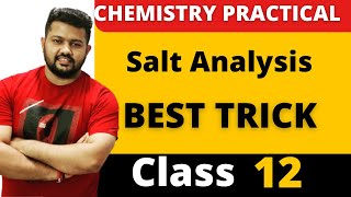 Class 12 Chemistry Practicals  Best Trick for Salt Analysis 01  Analysis of Acidic Radicals [upl. by Nimajnab]