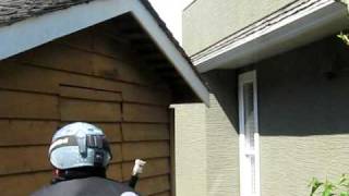 How not to kill a Wasp nest [upl. by Ayardna]