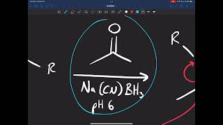 Carbonyls and Amines 2 Reducing Imines and Enamines [upl. by Aja]