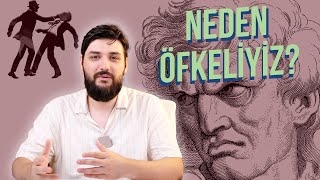 TÜRKİYE NEDEN Bu Kadar ÖFKELİ [upl. by Dorlisa]