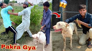 Talha Ghouri Ka Gabbar Dog Chori Karty Hamza Shikari Pakra Gya😱 [upl. by Asilav]