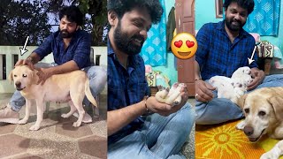 Rakshit Shetty Introduces Charlie Puppies  Super Cute ❤😍  777charlie  Santosham Suresh [upl. by Wiatt]