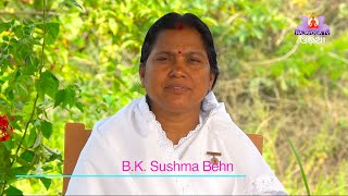 256 ଅଲୌକିକ ପଥେ  Aloukik Pathe  BK Sushma Behn [upl. by Jairia228]