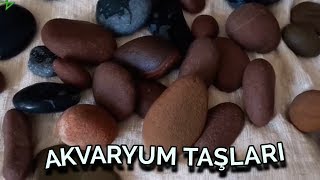 AKVARYUM TAŞLARI akvaryum taşları nasıl temizlenmeli akvaryum balıkları [upl. by Narmi]