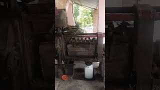 expeller mustard oil machine [upl. by Enillebyam]