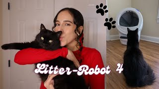 My Thoughts On The LitterRobot 4 and Setup 🐈‍⬛ [upl. by Yablon]