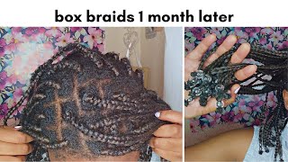 Taking Down 1 Month Old Braids on Natural Hair removal wash amp style [upl. by Braynard275]