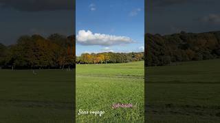 Temple Newsam Mansion ❤️ shorts reels travel youtubeshorts leeds building music song love [upl. by Rez]