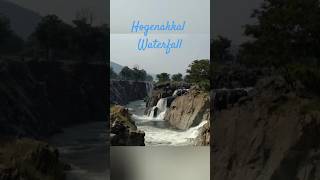 Dangerous coracle ride in waterfall youtubeshorts shorts short shortvideo [upl. by Ennairak]