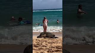 Poipu Kauai Honu joins us on the beach March 6 2024 [upl. by Nnyliram134]