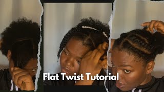 HOW TO DO MINI TWIST DIY BEGINNER FRIENDLY TUTORIAL 🔥 [upl. by Bessy]