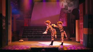 Waterford theatre Videos  Mungojerrie and Rumpleteazer  Cats [upl. by Euqinomahs786]