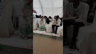 wedding tdf habesha tigrigna shortvideo tiktokvideo tiktok viralvideo viraltiktok new [upl. by Ellemac]