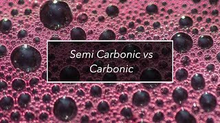 Georges Duboeuf  Episode 10  Semi Carbonic vs Carbonic [upl. by Cheatham997]