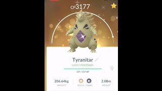 Lucky Shiny Tyranitar Shorts [upl. by Ulric]