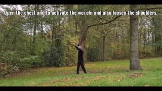 YoChi Qigong amp TaiChi [upl. by Rtoip769]