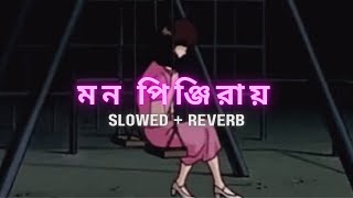 Mon Pinjira  Lofi  মন পিঞ্জিরায় বাইন্ধাছি তোর মন Slowed  Reverb  New lofi song  2024 [upl. by Notseh507]