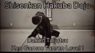 Daken Taijutsu “Fist Conditioning” Level 1 [upl. by Kcirneh]