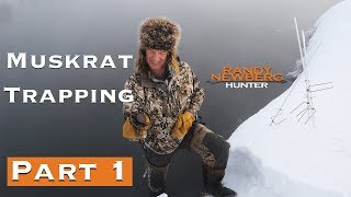 Trapping Muskrats with Randy Newberg  How To Part 1 [upl. by Acirederf926]