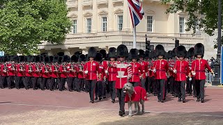 Troops and Massed Bands Enter Horse Guards Parade For Trooping the Colour [upl. by Cyril]