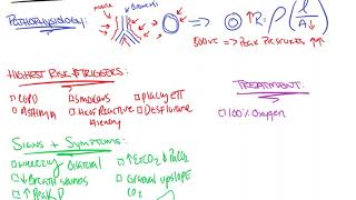 Intraoperative Bronchospasm [upl. by Kcid]