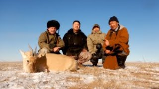 PÅ JAGT I GOBI ØRKENEN I MONGOLIET [upl. by Harness]