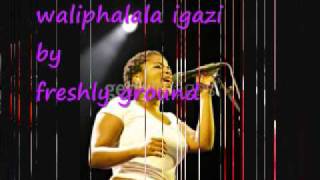 Freshly Ground  waliphalala igazi [upl. by Calie]