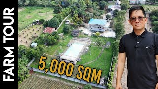 Farm House Tour 104 Spacious Lawn Plus a POOL Plus a House a win win Property for Sale farm bts [upl. by Reger]