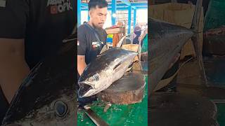 MONSTER TUNA CUTTING SKILLS shorts youtubeshorts subscribe [upl. by Duhl]