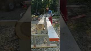 Logosol F2 Chainsaw Milling  Maple  chainsawmilling stihl [upl. by Laszlo]